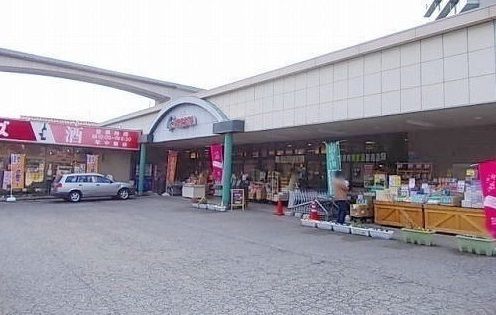 近くのフレスタまで850m（徒歩11分）