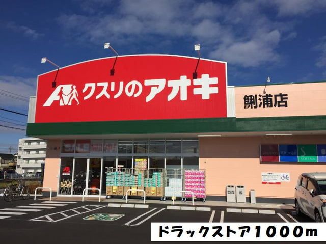 近くのクスリのアオキまで1,000m（徒歩13分）