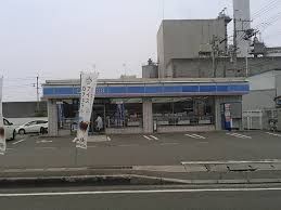 近くのローソン金生町下分店まで900m（徒歩12分）