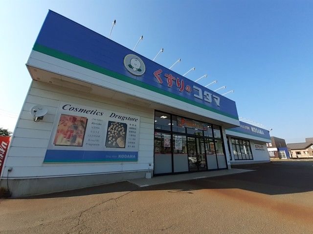 近くのくすりのコダマ上越鴨島店まで550m（徒歩7分）