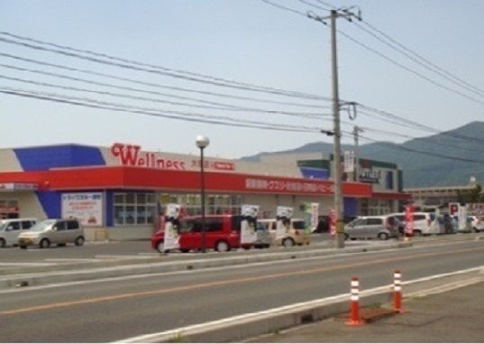 近くのウェルネス大塚店まで400m(徒歩5分)