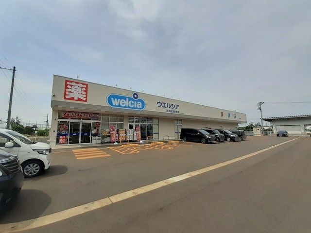 近くのウエルシア新潟新津東町店まで350m（徒歩5分）