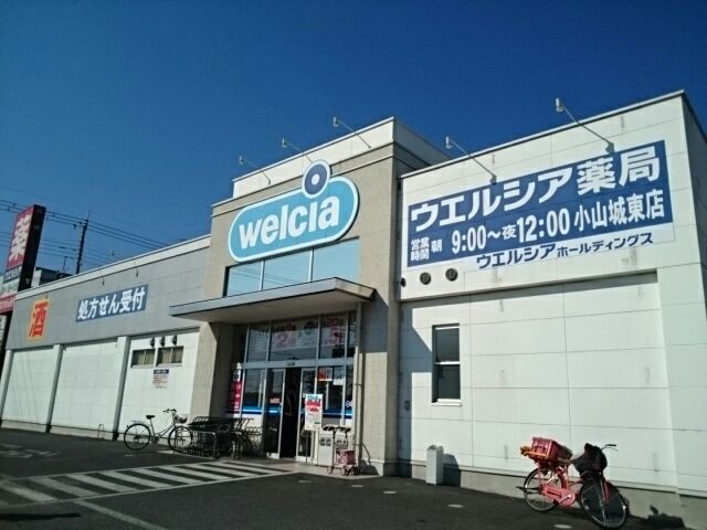近くのウエルシア小山城東店まで850m(徒歩11分)