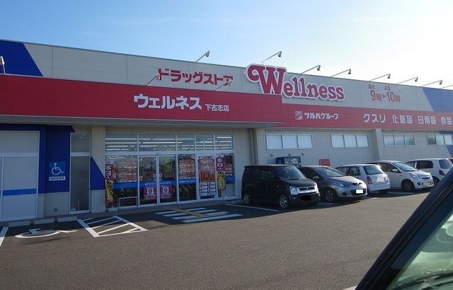 近くのウェルネス下古志店まで1,300m（徒歩17分）
