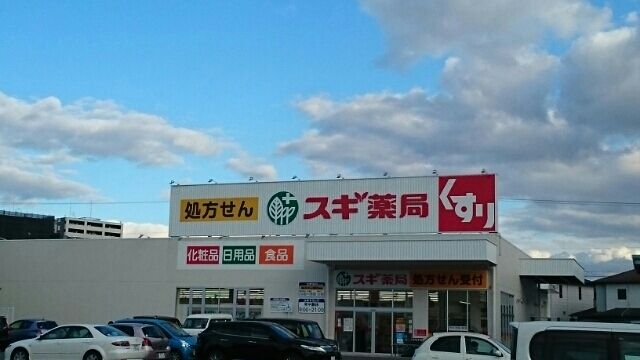 近くのスギ薬局まで820m（徒歩11分）