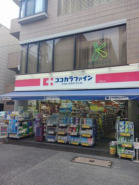 近くのココカラファインまで256m(徒歩4分)