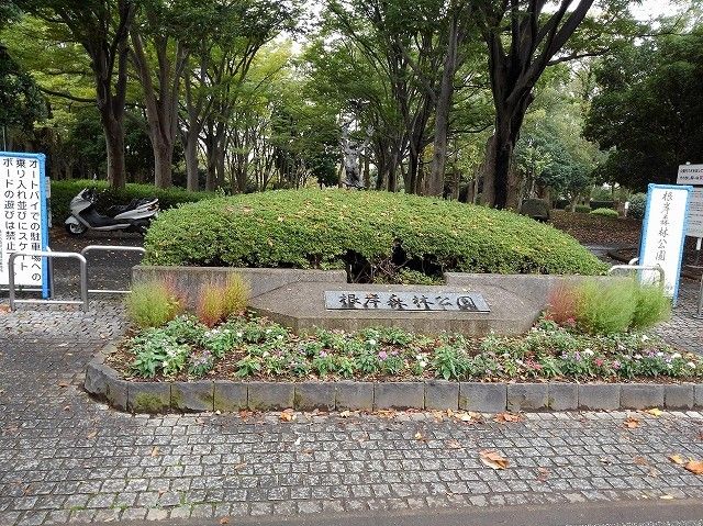 近くの根岸森林公園まで617m（徒歩8分）