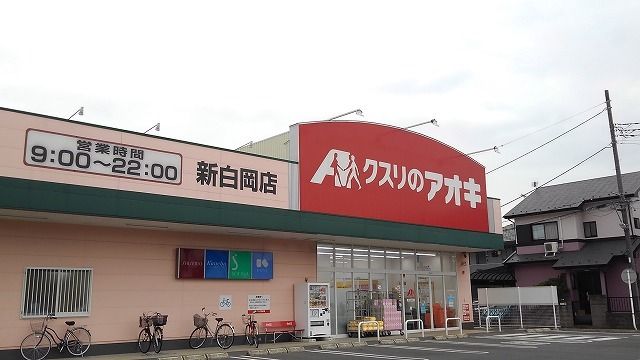 近くのクスリのアオキ新白岡店まで1,100m（徒歩14分）