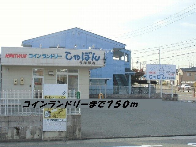 近くのコインランドリーまで750m（徒歩10分）
