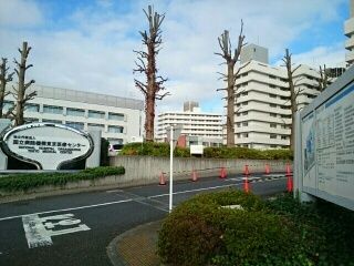 近くの東京医療センターまで1,340m(徒歩17分)