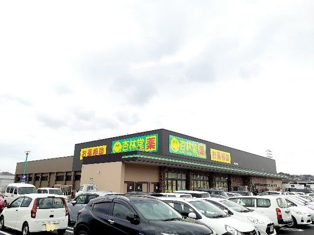 近くの杏林堂　富士宮浅間店まで1,800m（徒歩23分）