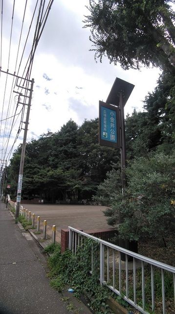 近くの小金井公園まで90m（徒歩2分）