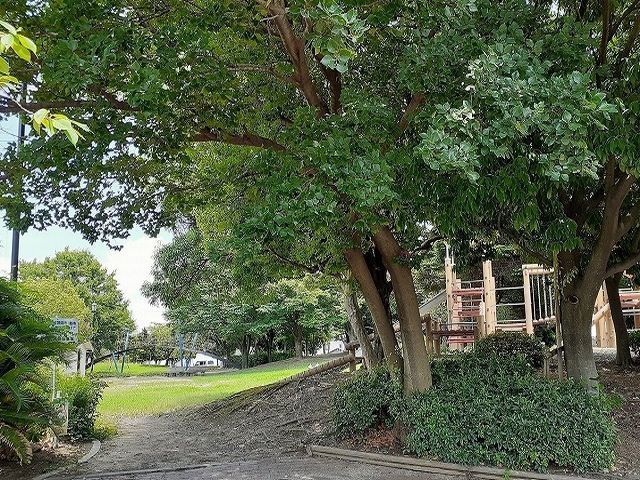 近くの雨池公園まで200m（徒歩3分）