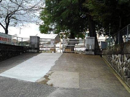 近くの向花小学校まで200m(徒歩3分)