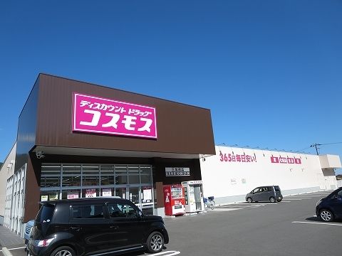 近くのドラッグストアまで1,000m（徒歩13分）