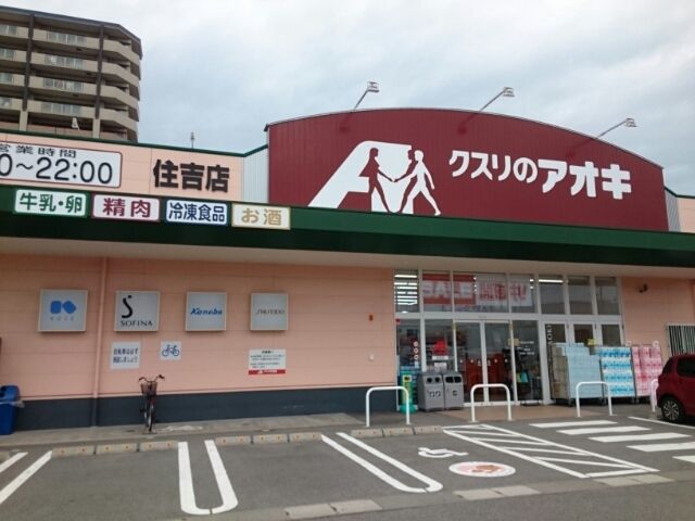 近くのクスリのアオキ 住吉店まで1,100m（徒歩14分）