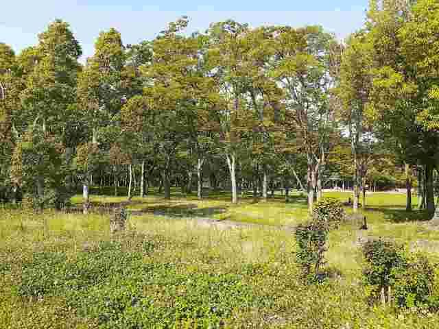 近くの藤沢台公園まで219m（徒歩3分）