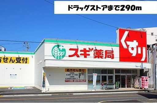 近くのスギ薬局まで290m（徒歩4分）