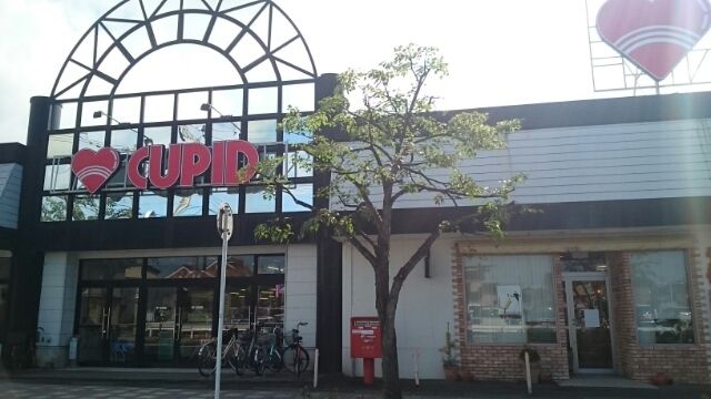 近くのキューピット 石山店まで650m（徒歩9分）