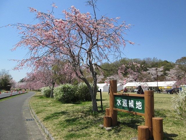 近くの水源公園まで500m（徒歩7分）