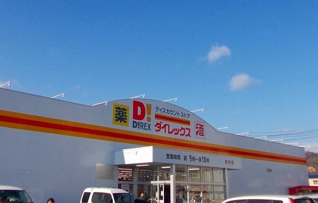 近くのダイレックス府中店まで800m（徒歩10分）