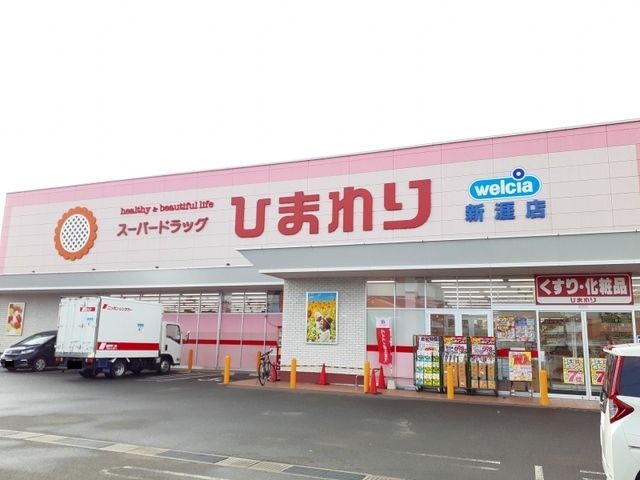 近くのひまわり新涯店まで750m(徒歩10分)