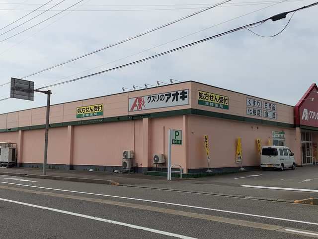 近くのクスリのアオキ津幡店まで250m(徒歩4分)