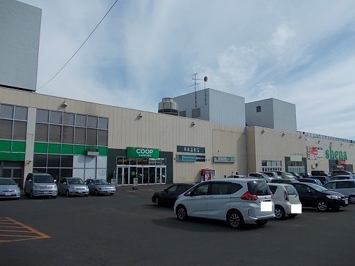 近くのコープさっぽろシーナ店まで600m（徒歩8分）