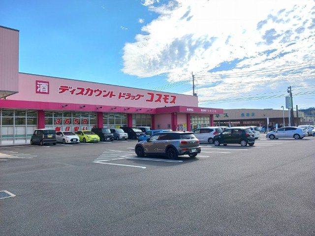 近くのコスモス鹿屋寿店まで250m（徒歩4分）