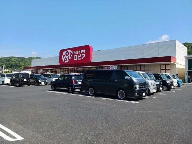 近くのロピア新市店まで550m(徒歩7分)