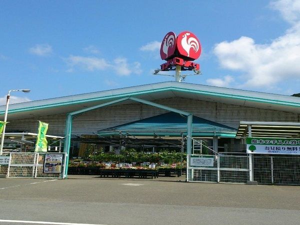 近くのコメリ今立店まで900m（徒歩12分）