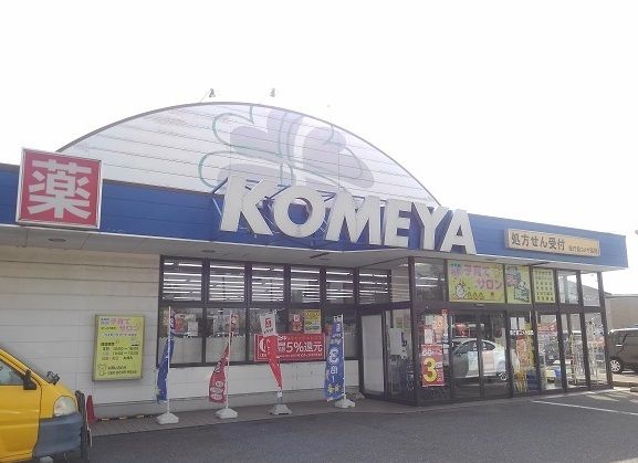 近くのコメヤ薬局県庁前店まで400m(徒歩5分)
