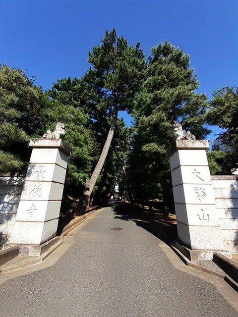 近くの大谿山 豪徳寺まで180m(徒歩3分)