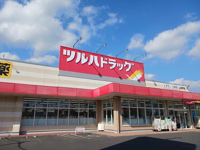 近くのドラッグストアまで900m（徒歩12分）