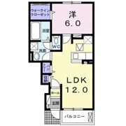 カーサ六花の間取り画像