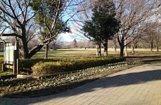 近くの公園まで1,100m（徒歩14分）