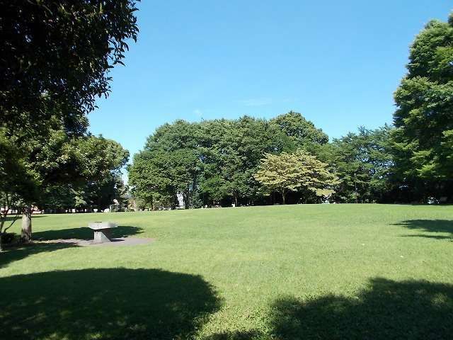 近くの明保野公園まで800m（徒歩10分）