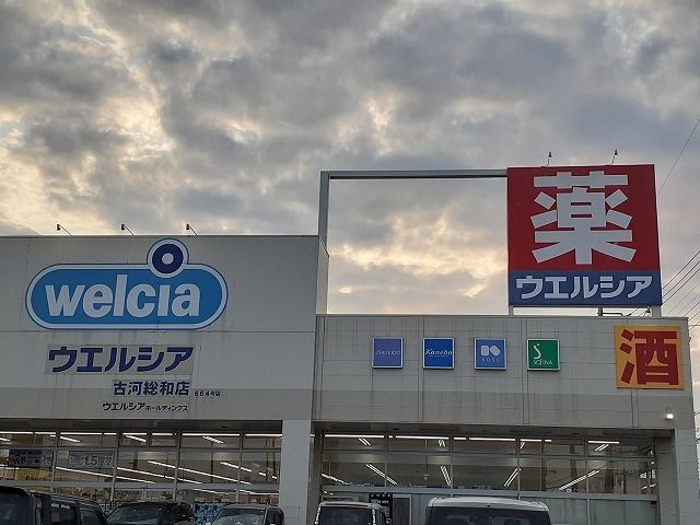 近くのウエルシア古河総和店まで300m（徒歩4分）