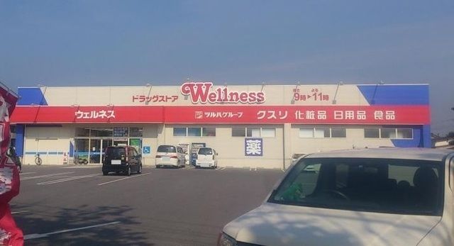 近くのウェルネス米原店まで900m(徒歩12分)