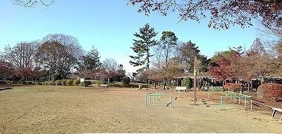 近くの公園まで1,000m（徒歩13分）