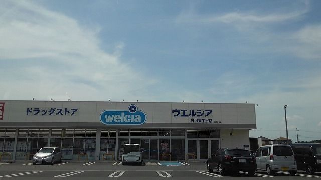 近くのウエルシア古河東牛谷店まで950m（徒歩12分）