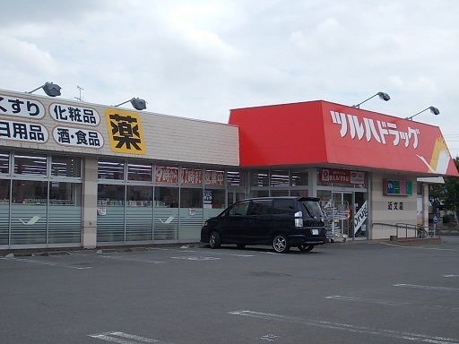 近くのツルハドラッグ近文店まで600m（徒歩8分）