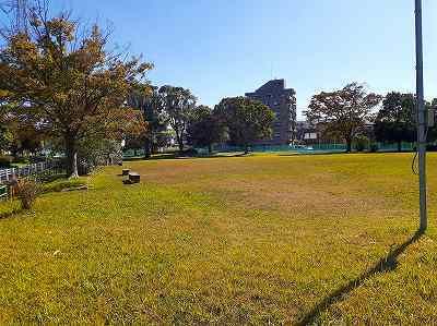 近くの公園まで300m（徒歩4分）