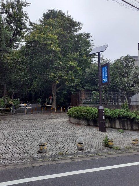 近くの林試の森公園(東門)まで250m（徒歩4分）