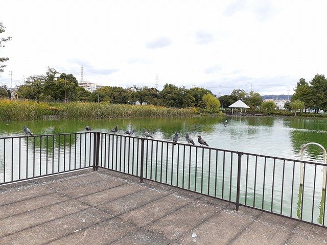 近くの弁天池公園まで220m（徒歩3分）