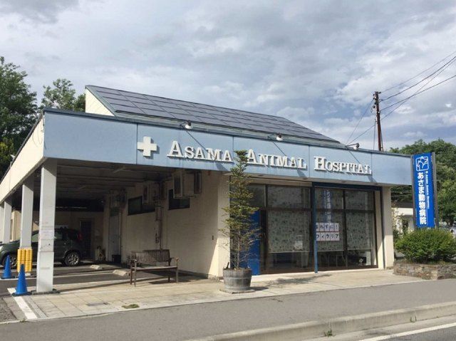 近くのあさま動物病院まで1,200m(徒歩15分)