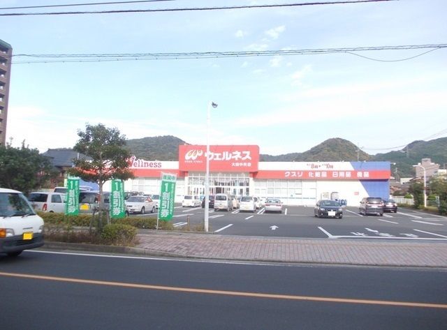 近くのウェルネス 大田中央店まで850m（徒歩11分）