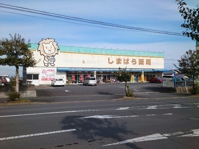 近くのしまばら薬局柏野店まで900m(徒歩12分)