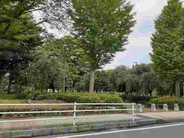 近くの公園まで270m（徒歩4分）