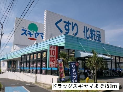 近くのドラッグスギヤマまで750m（徒歩10分）